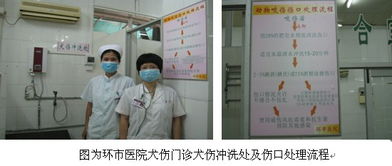 環市醫院犬傷門診正式啟用 拓展社區服務版圖，筑牢公共衛生防線